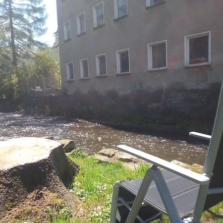 Ferienwohnung Zum Sebnitzer Hirsch Dış mekan fotoğraf