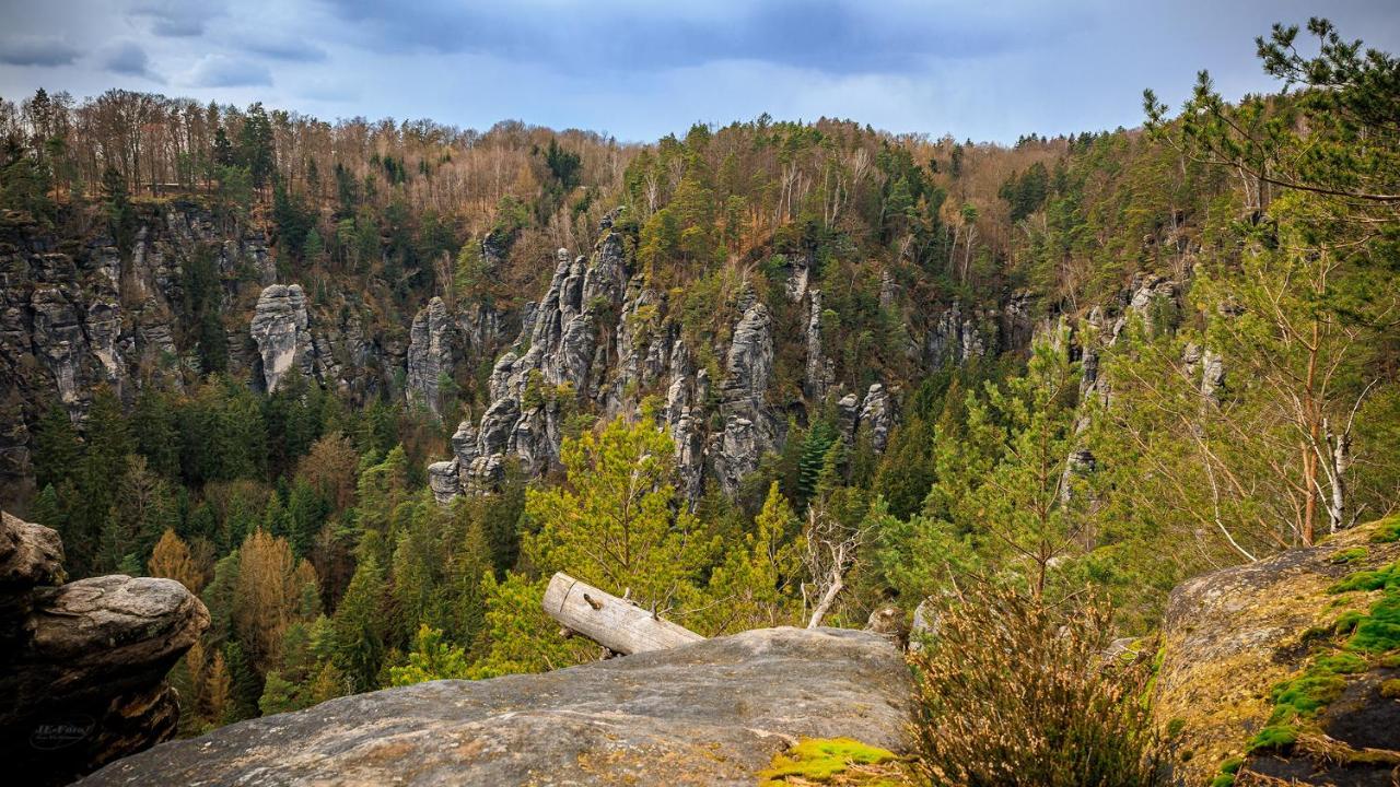 Ferienwohnung Zum Sebnitzer Hirsch Dış mekan fotoğraf