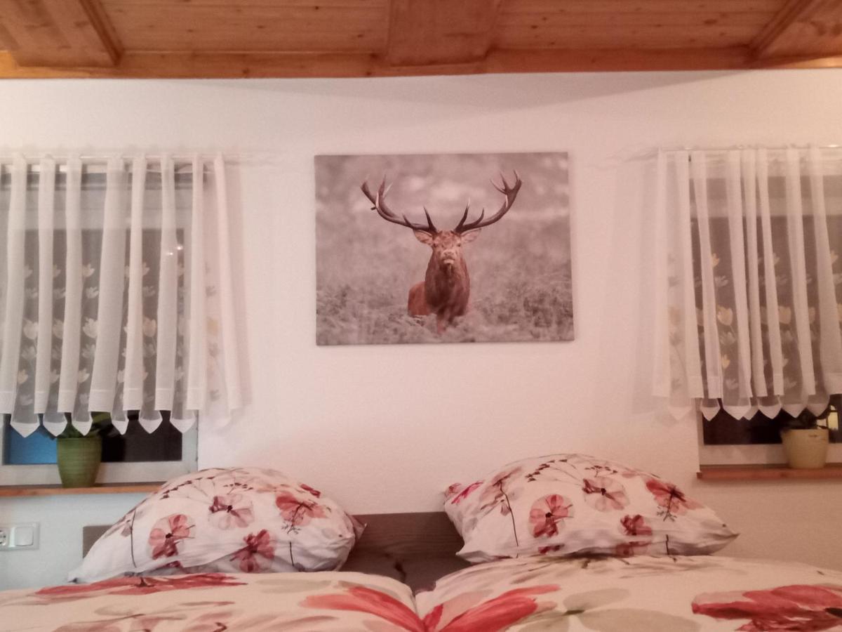 Ferienwohnung Zum Sebnitzer Hirsch Dış mekan fotoğraf