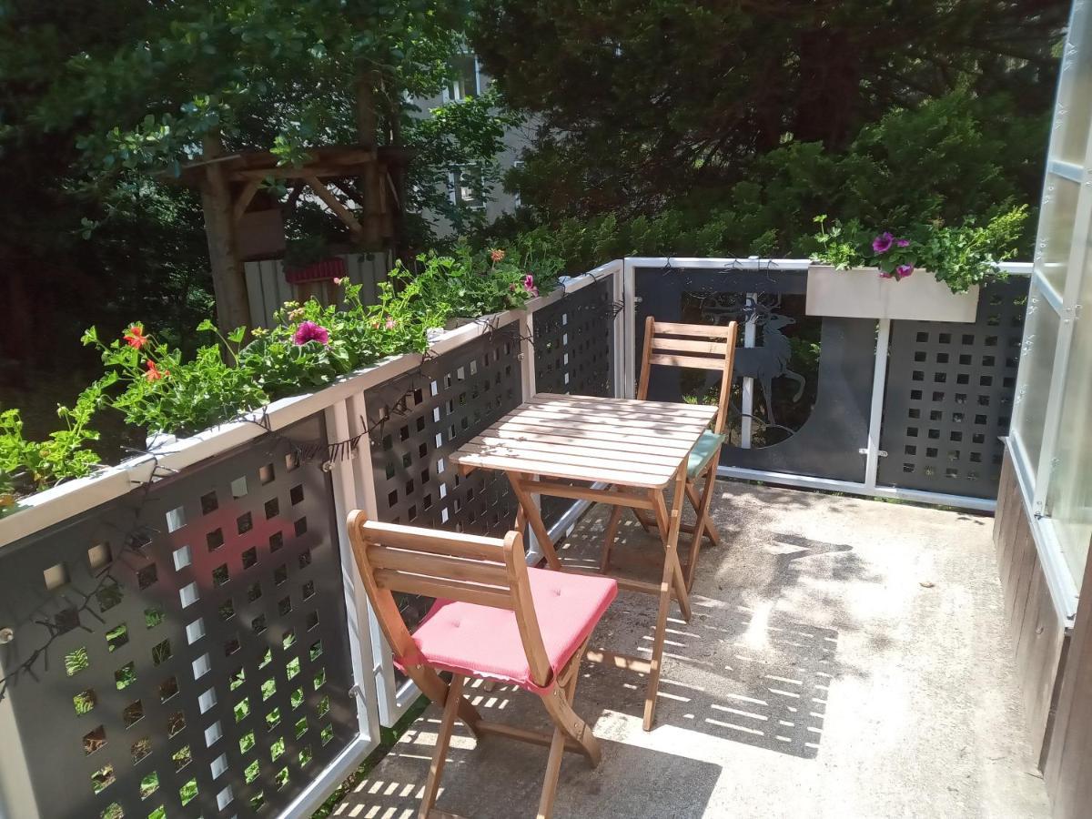 Ferienwohnung Zum Sebnitzer Hirsch Dış mekan fotoğraf
