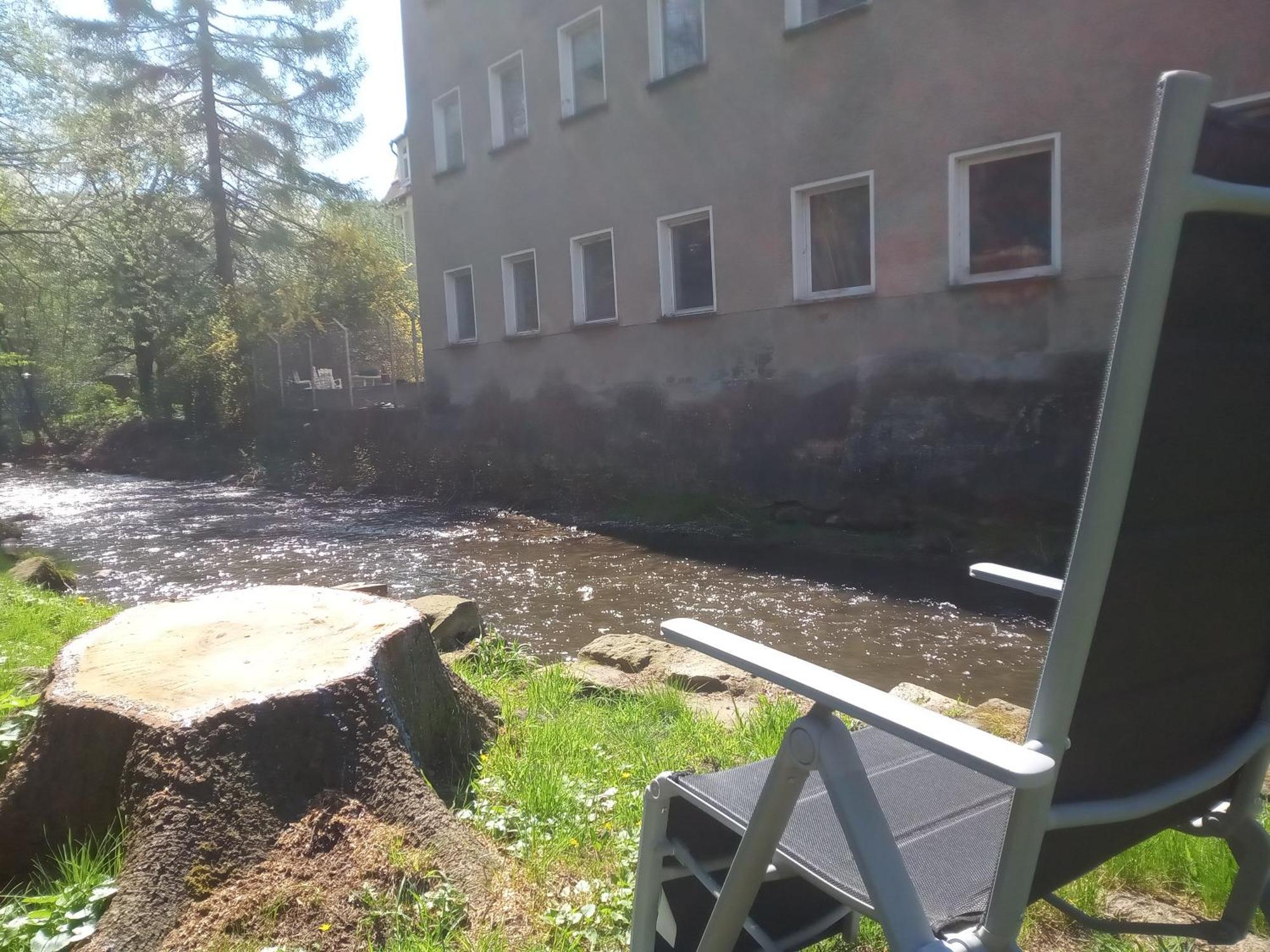 Ferienwohnung Zum Sebnitzer Hirsch Dış mekan fotoğraf