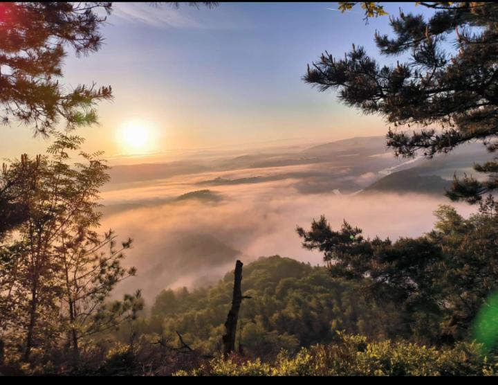 Ferienwohnung Zum Sebnitzer Hirsch Dış mekan fotoğraf